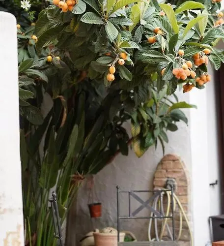 Semesterbostad Casa L'orizzonte Azzurro